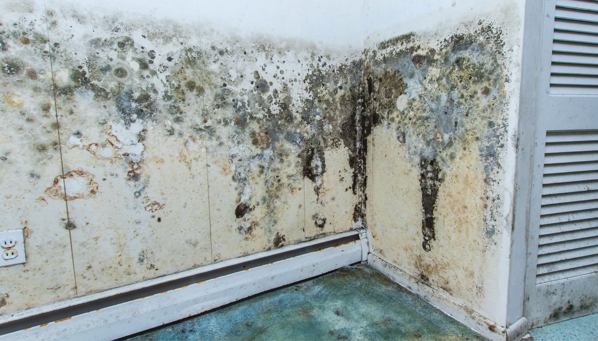 Professional mold removal, odor control, and water damage restoration service in Indianapolis, Indiana.