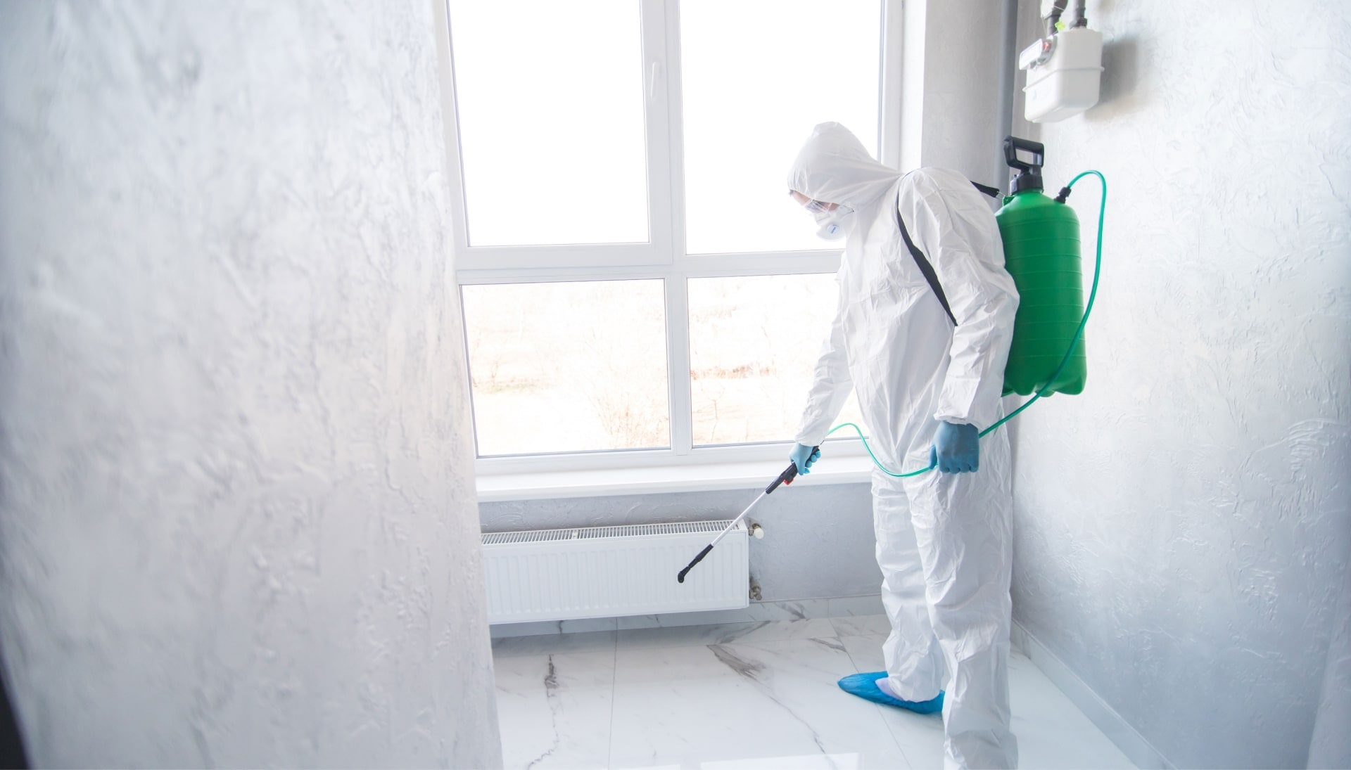 We provide the highest-quality mold inspection, testing, and removal services in the Indianapolis, Indiana area.